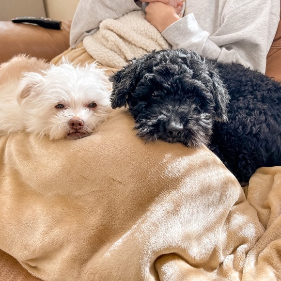 Meet your Posher, Miki - Picture 9 of 13